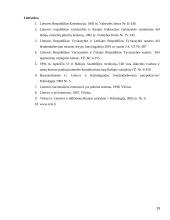 LR sienų su užsienio valstybėmis teisinis įtvirtinimas 15 puslapis