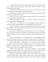 LR sienų su užsienio valstybėmis teisinis įtvirtinimas 4 puslapis