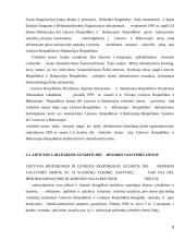 LR sienų su užsienio valstybėmis teisinis įtvirtinimas 8 puslapis
