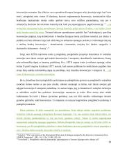 Prieglobsčio politika 13 puslapis