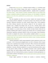 Prieglobsčio politika 4 puslapis