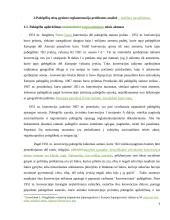 Prieglobsčio politika 7 puslapis