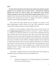 Prieglobsčio teisė 2 puslapis