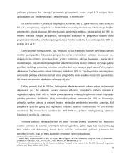 Prieglobsčio teisė 16 puslapis