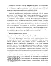 Prieglobsčio teisė 17 puslapis