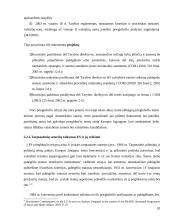 Prieglobsčio teisė 20 puslapis