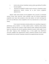 Prieglobsčio teisė 3 puslapis