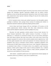 Pabėgelių teisės 3 puslapis