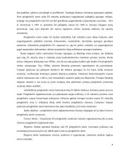 Pabėgėlių teisės darbas 4 puslapis