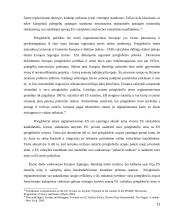 Pabėgėlių teisės referatas 11 puslapis