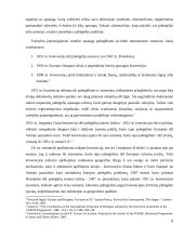 Pabėgėlių teisės referatas 6 puslapis