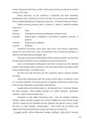 Valstybės laivų kontrolės teisinis reglamentavimas  14 puslapis