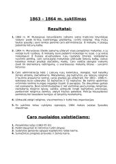 1830-1831 metų ir 1863-1864 metų sukilimai Lietuvoje ir Lenkijoje 4 puslapis