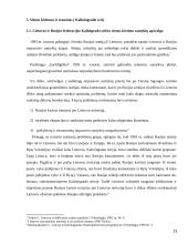 Tarptautinės sutartys dėl sienos kirtimo 13 puslapis