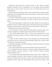 Tarptautinės sutartys dėl sienos kirtimo 19 puslapis