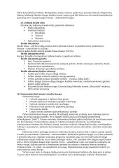 Dokumentotyra (konspektas) 11 puslapis