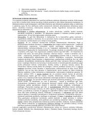 Dokumentotyra (konspektas) 13 puslapis