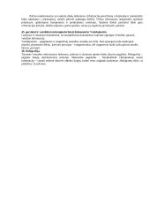 Dokumentotyra (konspektas) 19 puslapis