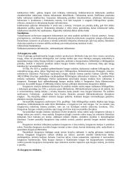 Dokumentotyra (konspektas) 4 puslapis