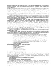 Dokumentotyra (konspektas) 5 puslapis