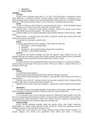 Dokumentotyra (konspektas) 7 puslapis