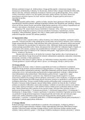 Dokumentotyra (konspektas) 9 puslapis