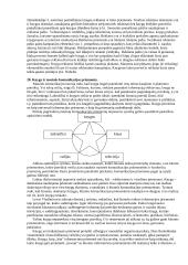 Dokumentotyra (konspektas) 10 puslapis