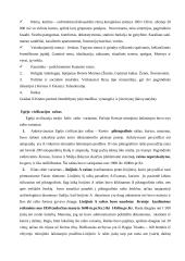 Egėjo civilizacija. Kreta 5 puslapis