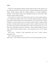 Tautos apsisprendimo teisė 2 puslapis