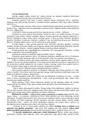 Etnologija: verslai, amatai 2 puslapis