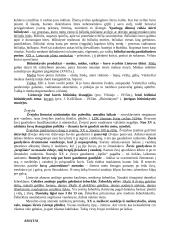 Etnologija: verslai, amatai 3 puslapis