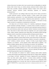 Mažosios šalys tarptautinio terorizmo tramdymo strategijoje  13 puslapis