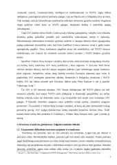 Mažosios šalys tarptautinio terorizmo tramdymo strategijoje  7 puslapis