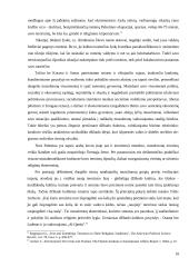 Mažosios šalys tarptautinio terorizmo tramdymo strategijoje  10 puslapis