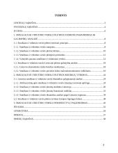 Smulkaus ir vidutinio verslo (SVV) Lietuvoje galimybių analizė ir perspektyva 2 puslapis