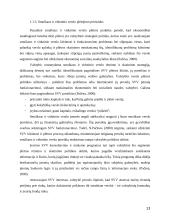 Smulkaus ir vidutinio verslo (SVV) Lietuvoje galimybių analizė ir perspektyva 13 puslapis