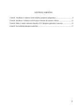 Smulkaus ir vidutinio verslo (SVV) Lietuvoje galimybių analizė ir perspektyva 3 puslapis