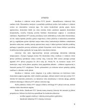 Smulkaus ir vidutinio verslo (SVV) Lietuvoje galimybių analizė ir perspektyva 6 puslapis