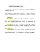 Smulkaus ir vidutinio verslo (SVV) Lietuvoje galimybių analizė ir perspektyva 7 puslapis