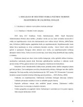 Smulkaus ir vidutinio verslo (SVV) Lietuvoje galimybių analizė ir perspektyva 8 puslapis