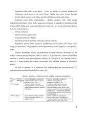 Smulkaus ir vidutinio verslo (SVV) Lietuvoje galimybių analizė ir perspektyva 9 puslapis