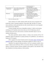 Smulkaus ir vidutinio verslo (SVV) Lietuvoje galimybių analizė ir perspektyva 10 puslapis