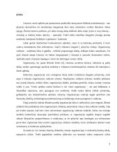 Septynių “S” verslo strategija 2 puslapis