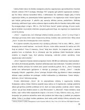 Septynių “S” verslo strategija 15 puslapis