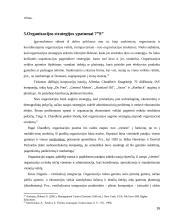 Septynių “S” verslo strategija 16 puslapis