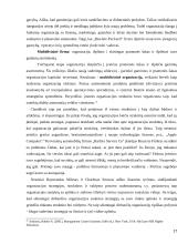 Septynių “S” verslo strategija 17 puslapis