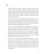 Septynių “S” verslo strategija 20 puslapis