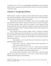 Septynių “S” verslo strategija 6 puslapis