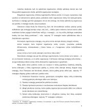 Septynių “S” verslo strategija 7 puslapis