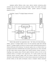 Septynių “S” verslo strategija 8 puslapis